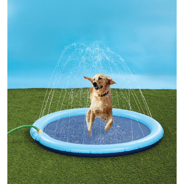 Tucker Murphy™ Pet Sprinkler Pals Dog Pool Wayfair